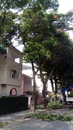 6f4d14a3-55de-4312-ad00-616da062c907