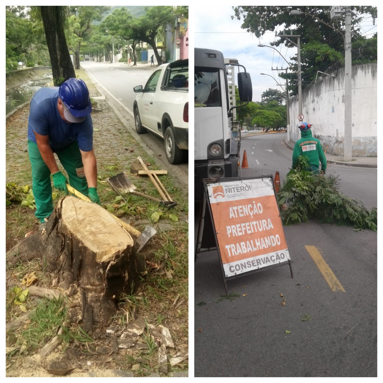 AÇÕES DAS EQUIPES DE ARBORIZAÇÃO NO DIA 20 e 22/03/2020
