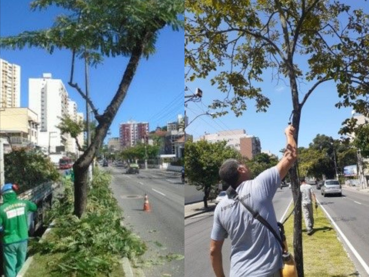 AÇÕES DAS EQUIPES DE ARBORIZAÇÃO URBANA NO DIA 11/03/2020