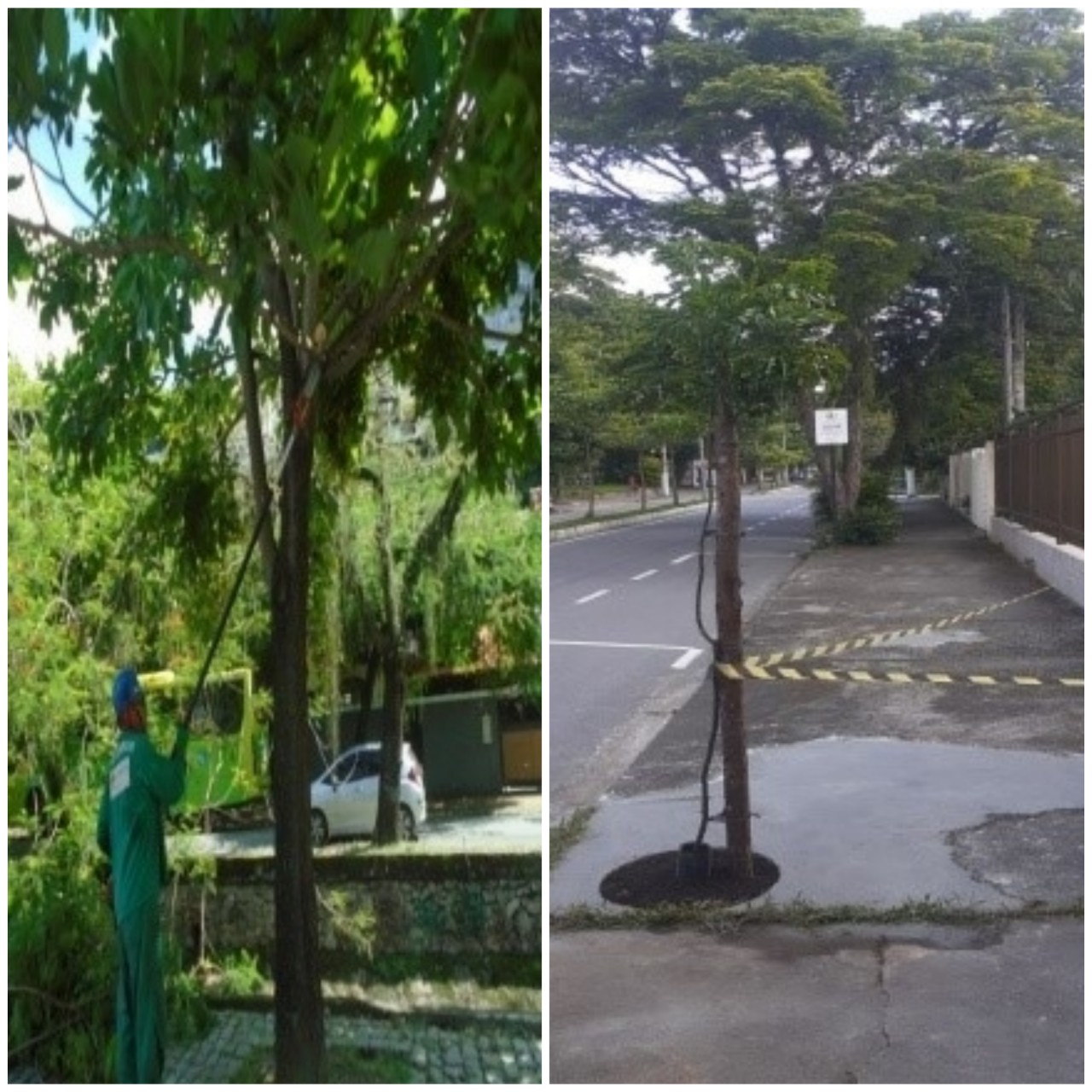 AÇÕES DAS EQUIPES DE ARBORIZAÇÃO URBANA DIA 05/03/2020