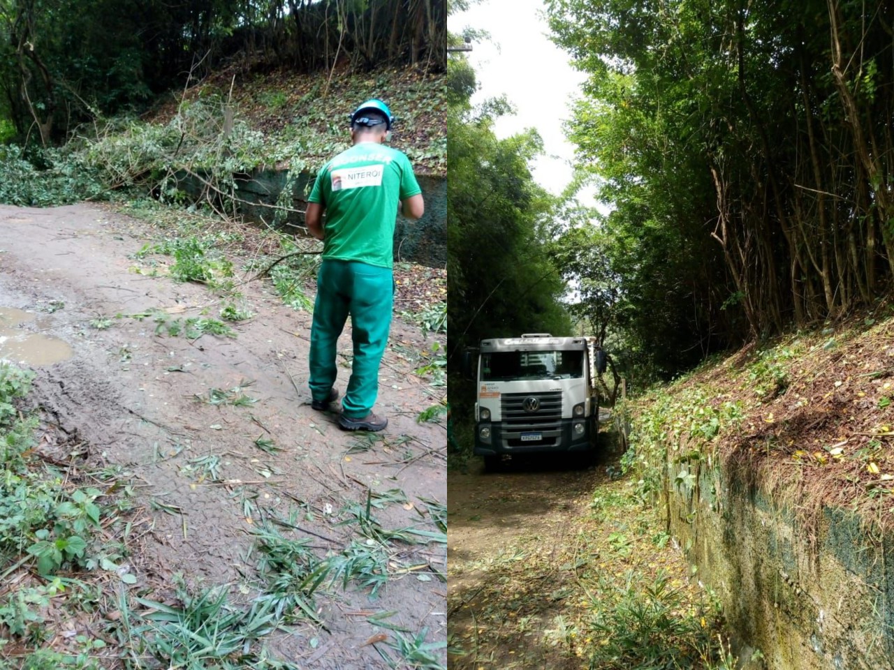 arborizao-30-12-2020