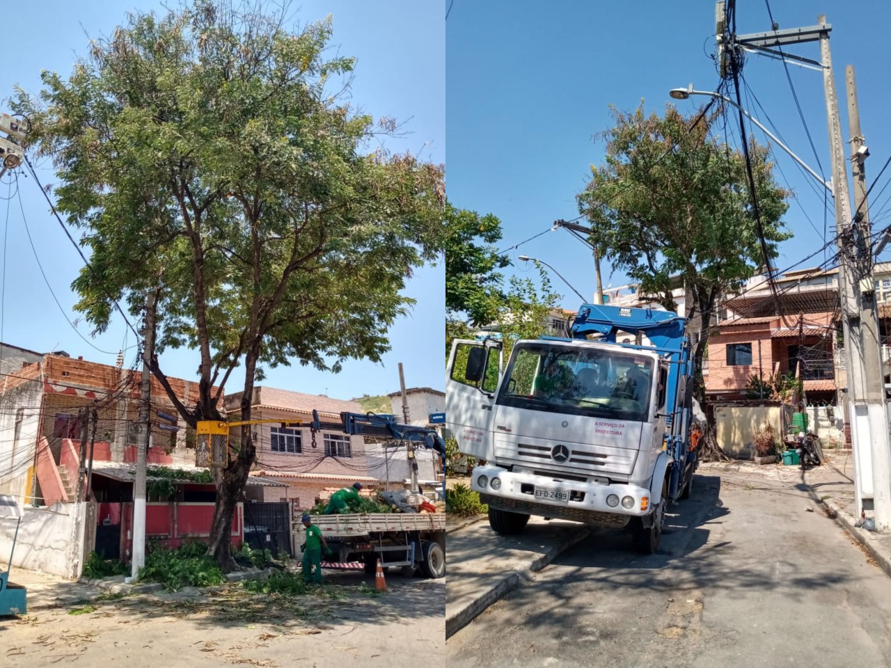 arborizao-03-02-2021