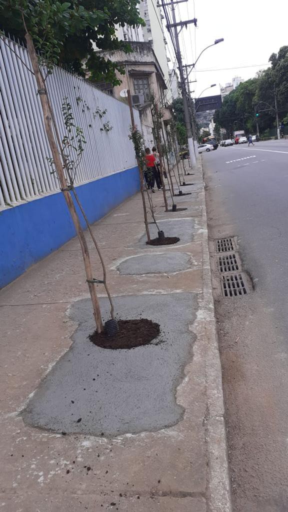 resedas-no-caio-martins