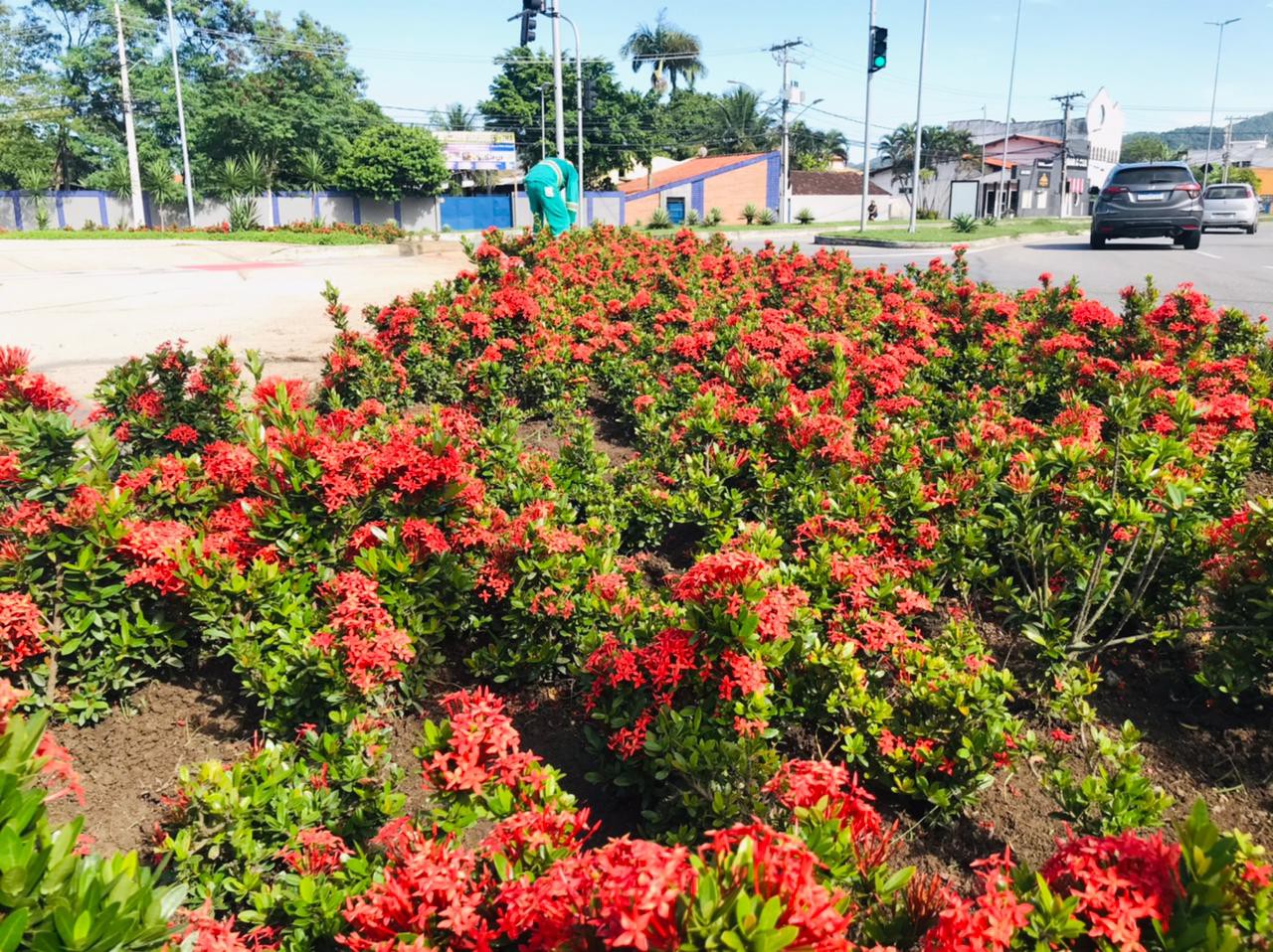 canteiros-jardinados