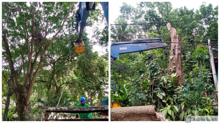 My-Pos_20210322-025202_1