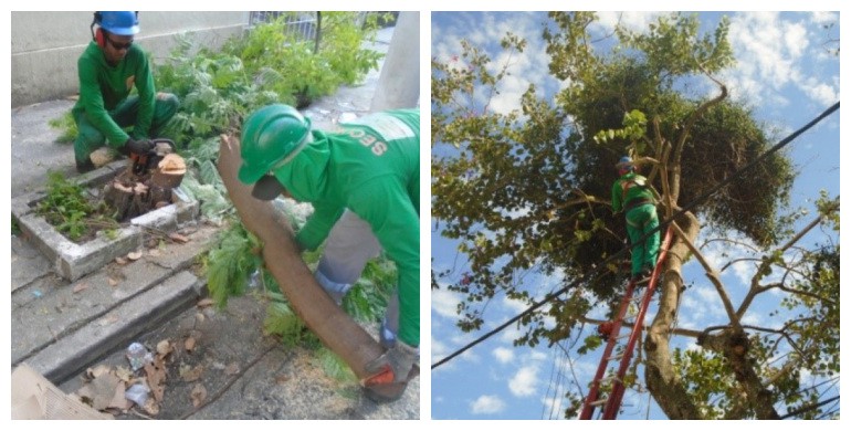AÇÕES EQUIPES DE ARBORIZAÇÃO URBANA DIA 12/03/2021