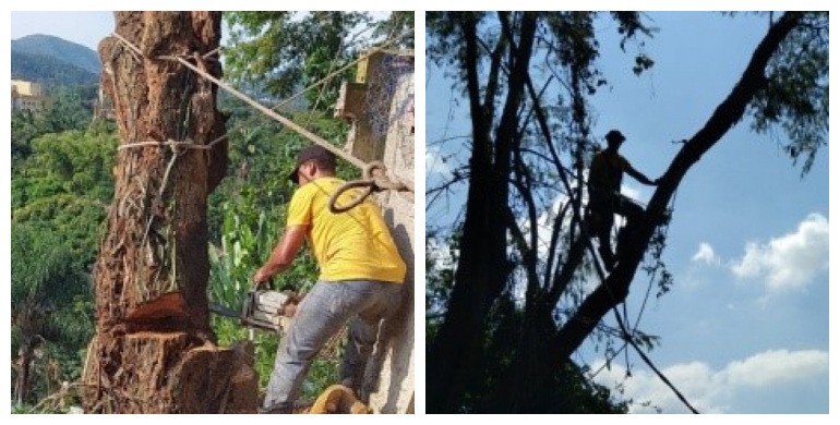 AÇÕES EQUIPES DE ARBORIZAÇÃO URBANA DIA 13/02/2021