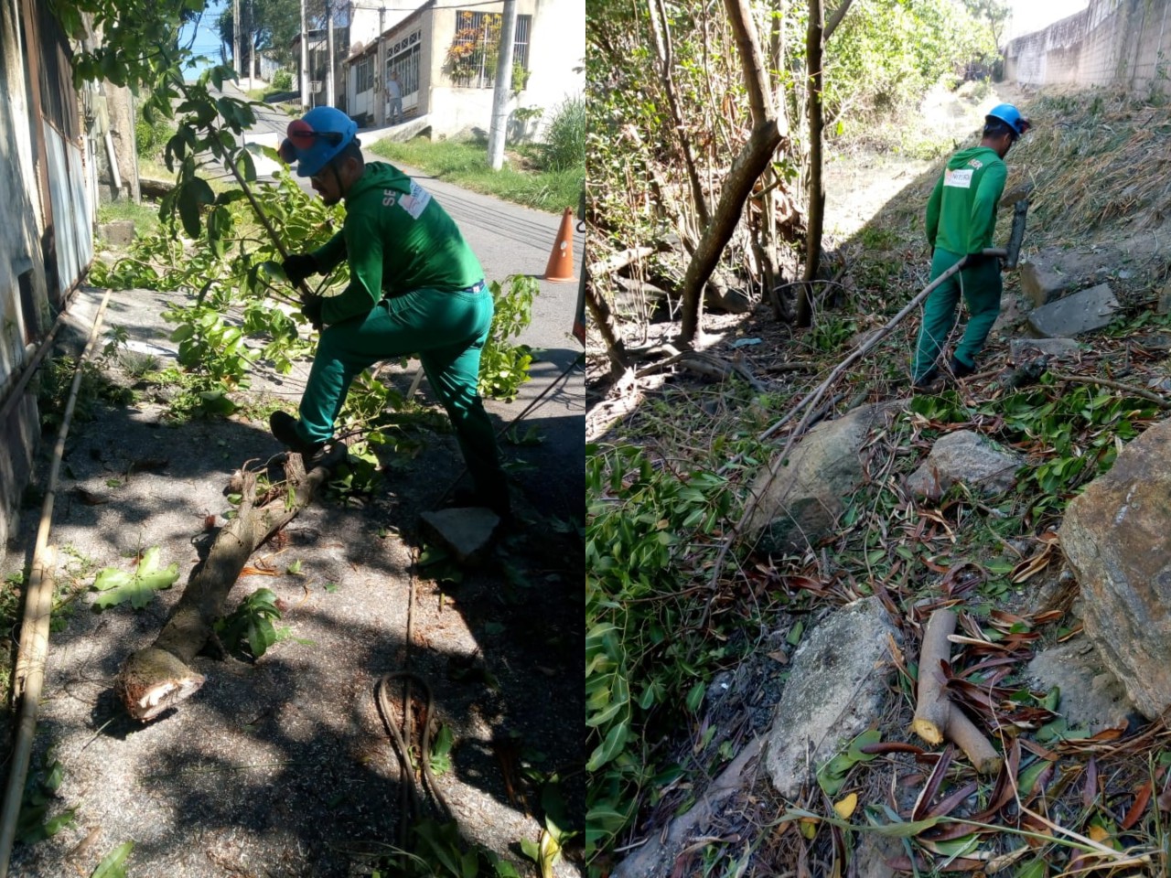 Ações das equipes de Arborização Urbana nos dias 09, 10 & 11/04