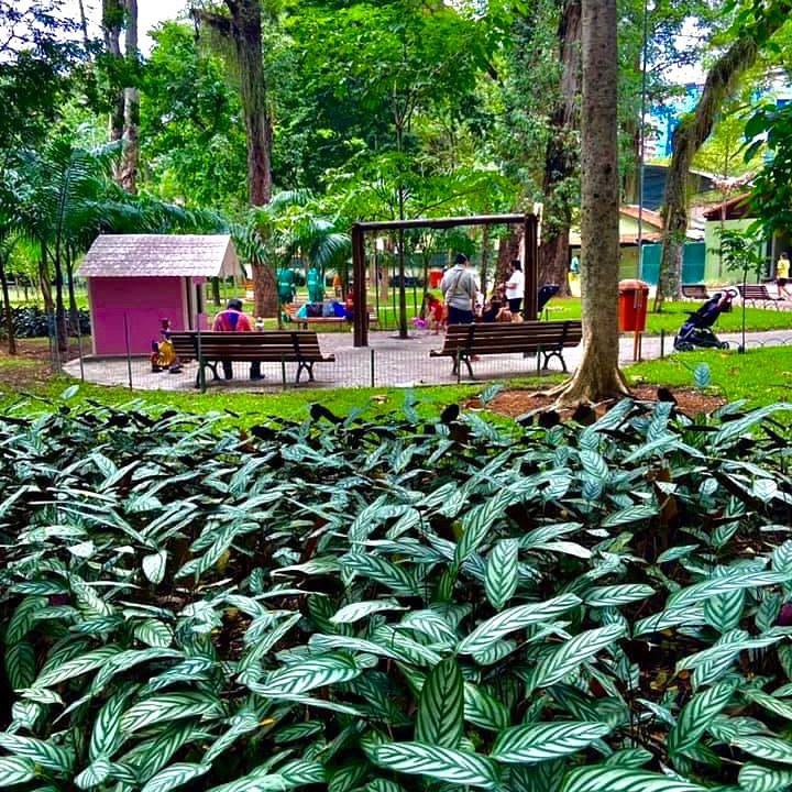 paisagismo-campo-de-so-bento