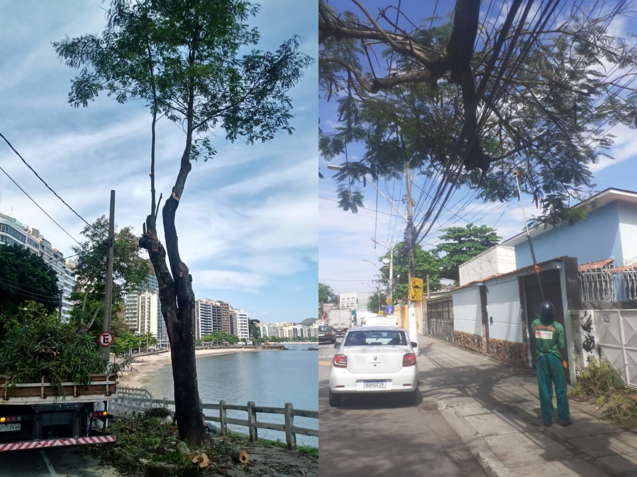 AÇÕES EQUIPE DE ARBORIZAÇÃO URBANA DIAS 15/10, 16/10 E 17/10/2021