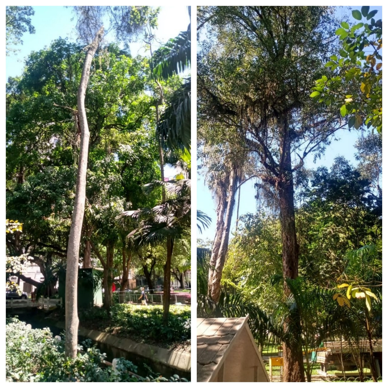  AÇÕES REGIÃO OCEÂNICA 21/10/2021