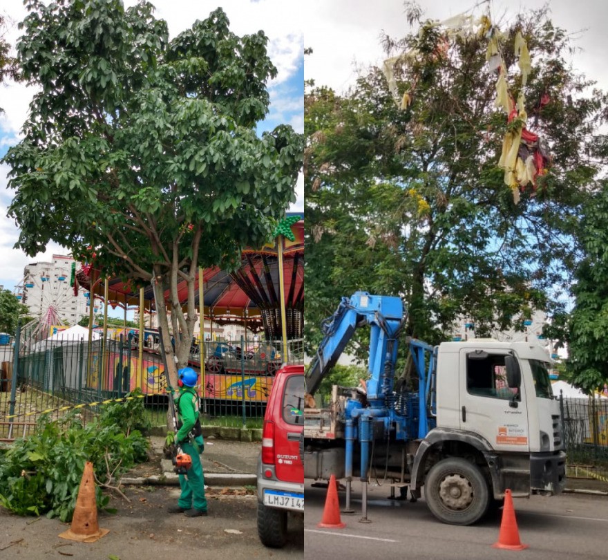 AÇÕES EQUIPES DE ARBORIZAÇÃO URBANA DIA 09/12/2021