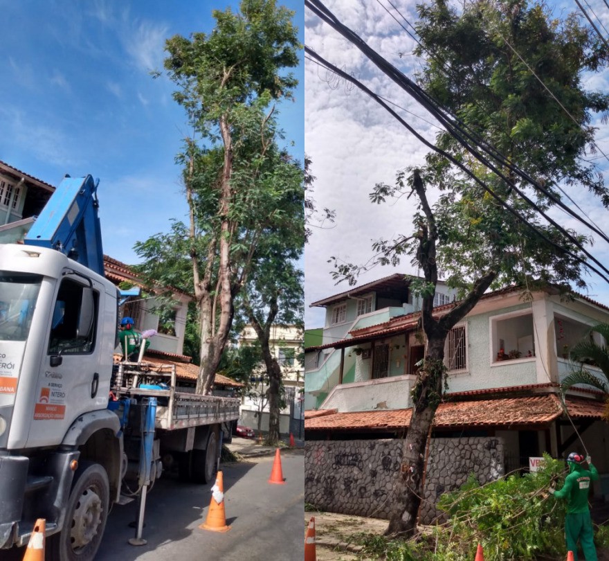 AÇÕES EQUIPES DE ARBORIZAÇÃO URBANA DIA 15/12/2021