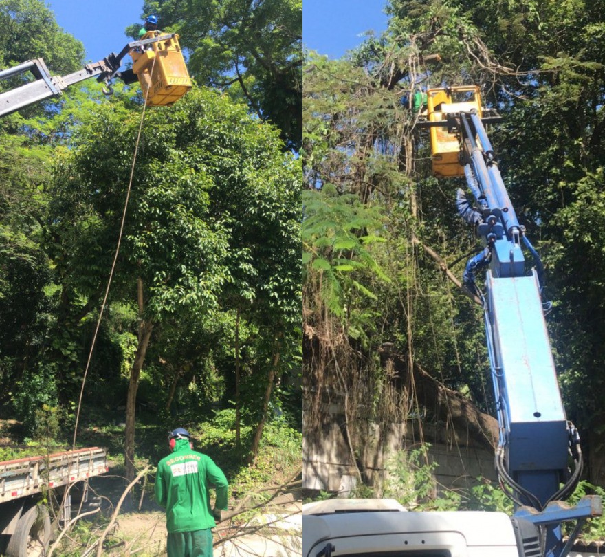 AÇÕES EQUIPES DE ARBORIZAÇÃO URBANA DIAS 10/12, 11/12 E 12/12/2021