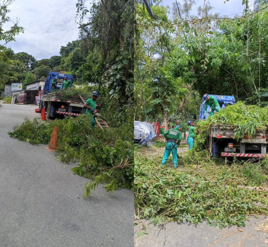 AÇÕES EQUIPES DE ARBORIZAÇÃO URBANA DIA 16/12/2021
