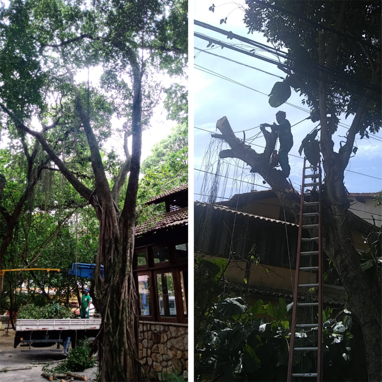 Blank-2-Grids-Collage-7