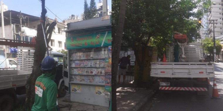 AÇÕES EQUIPES DE ARBORIZAÇÃO URBANA DIA 14/02/2022