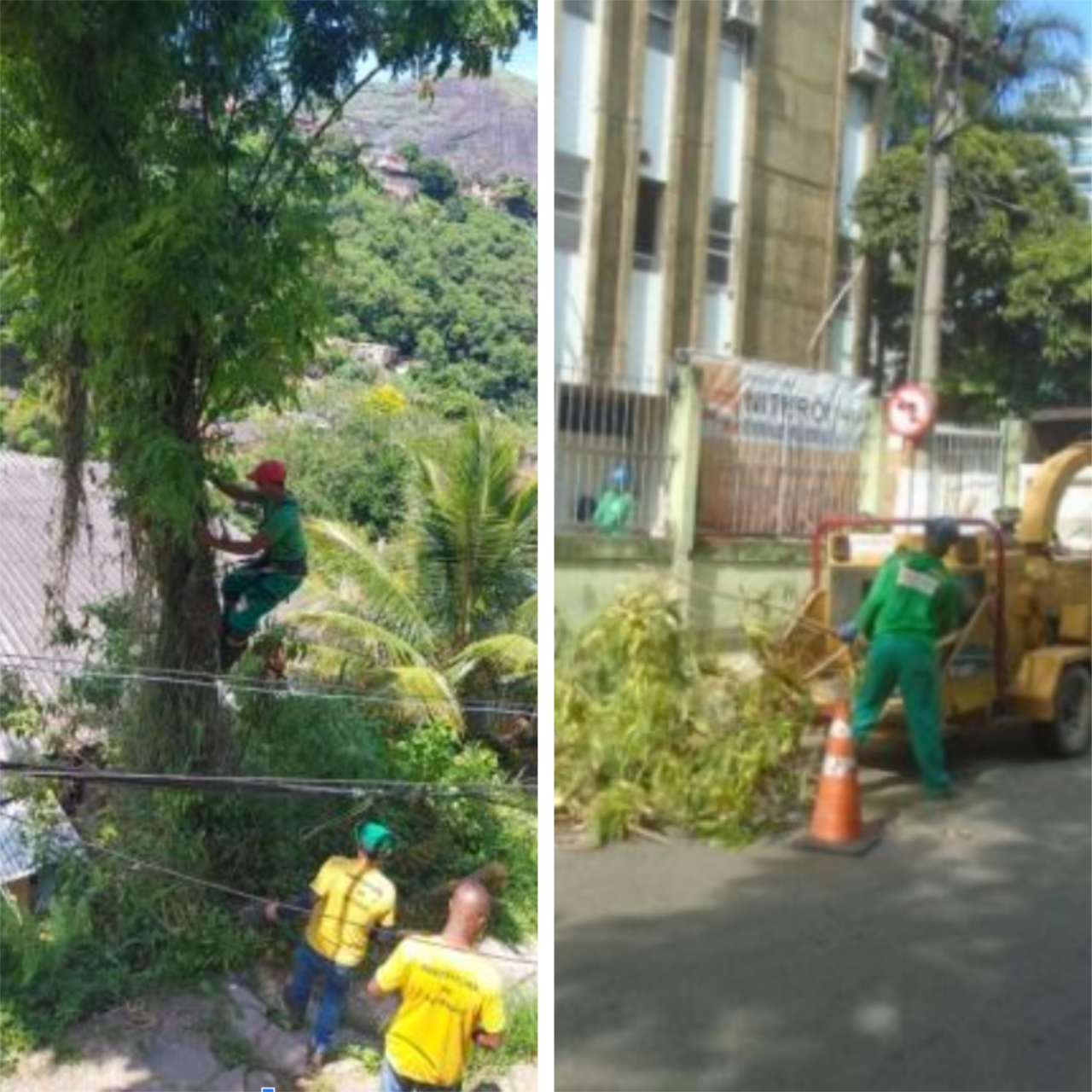 AÇÕES EQUIPES DE ARBORIZAÇÃO URBANA DIAS 25/02 E 26/02/2022