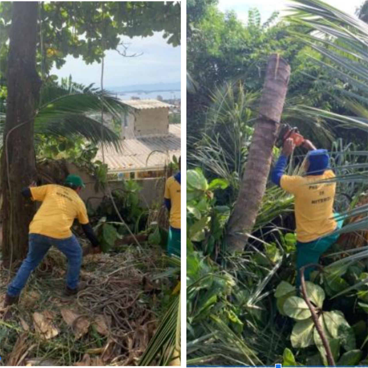 AÇÕES EQUIPES ARBORIZAÇÃO URBANA 18/03 E 19/03/2022