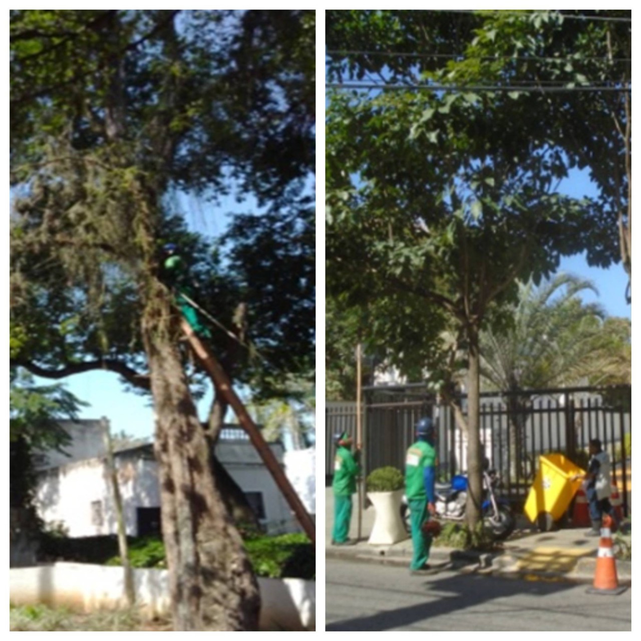 Blank-2-Grids-Collage-7