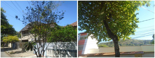 AÇÕES EQUIPES DE ARBORIZAÇÃO URBANA DIAS 02, 03 E 04/09/2022