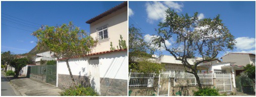 AÇÕES EQUIPES DE ARBORIZAÇÃO URBANA DIA 07/09/2022