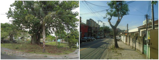 AÇÕES EQUIPES DE ARBORIZAÇÃO URBANA DIA 06/10/2022