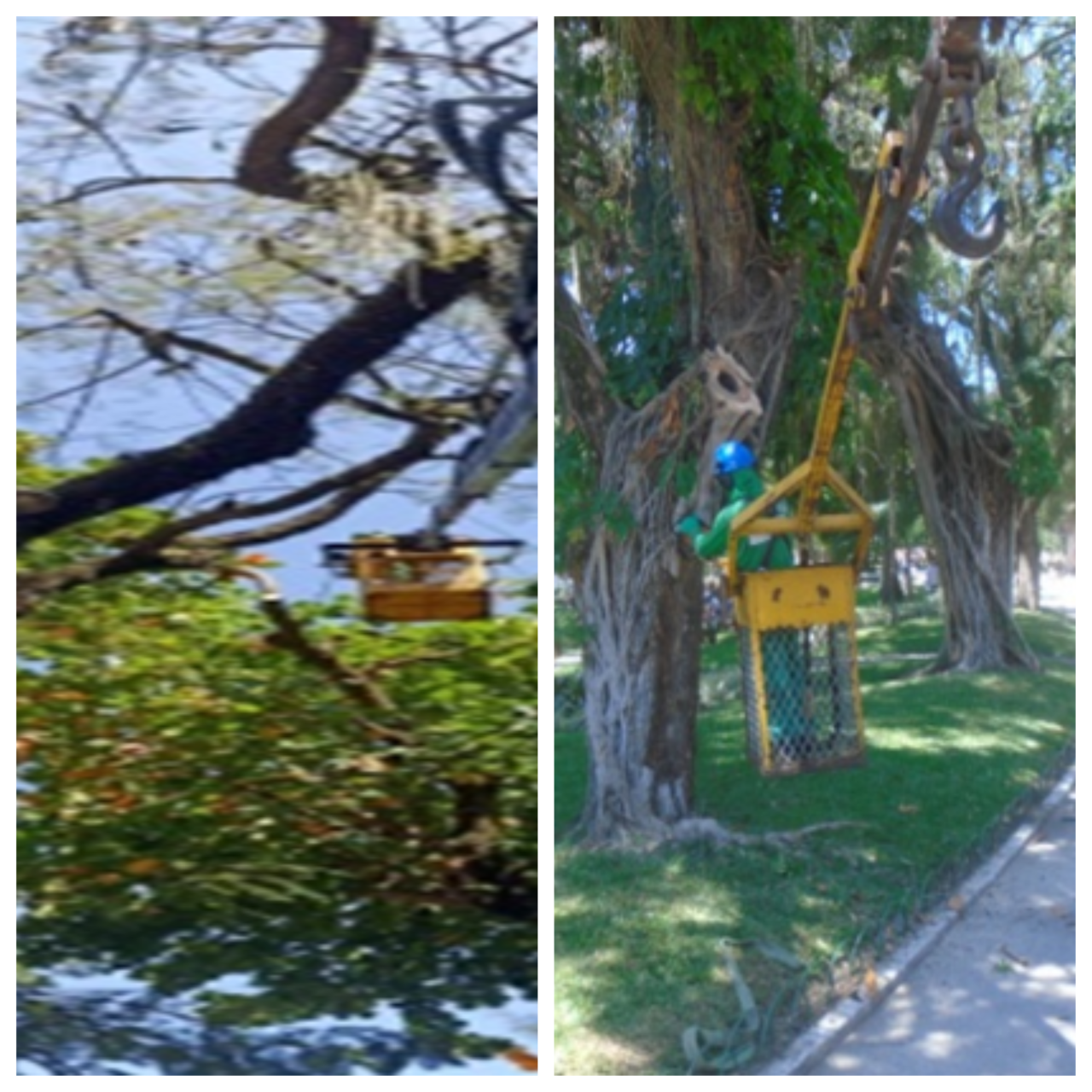 Blank-2-Grids-Collage