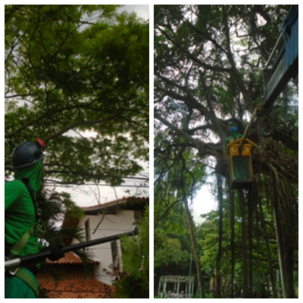 Blank-2-Grids-Collage-1