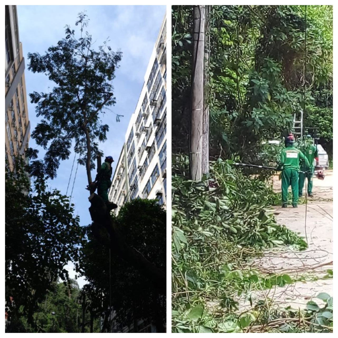 Blank-2-Grids-Collage-17