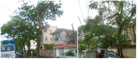 AÇÕES EQUIPES DE ARBORIZAÇÃO URBANA DIA 24/11/2022