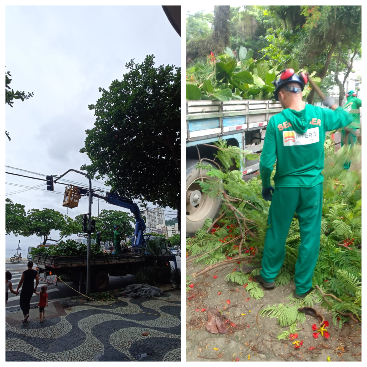 AÇÕES EQUIPE DE ARBORIZAÇÃO URBANA DIAS 29, 30 E 31/12/2022