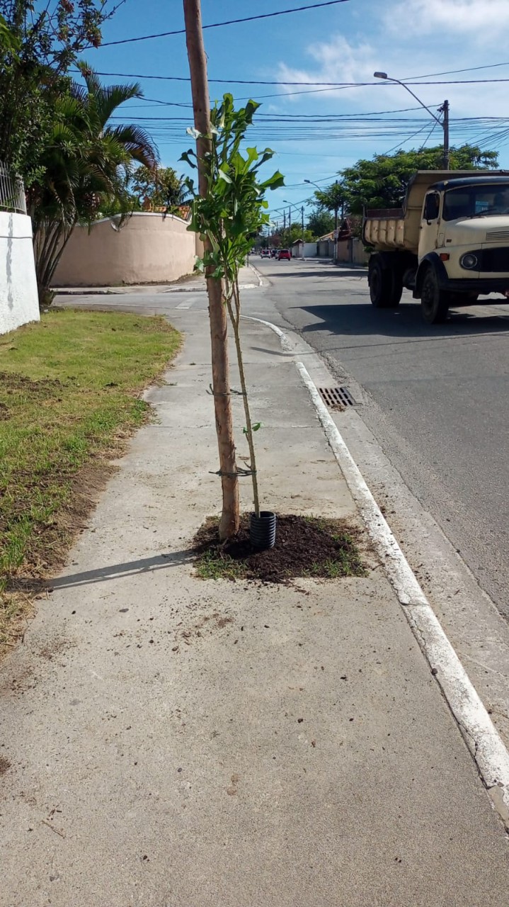 romanda_20240220-145927_1