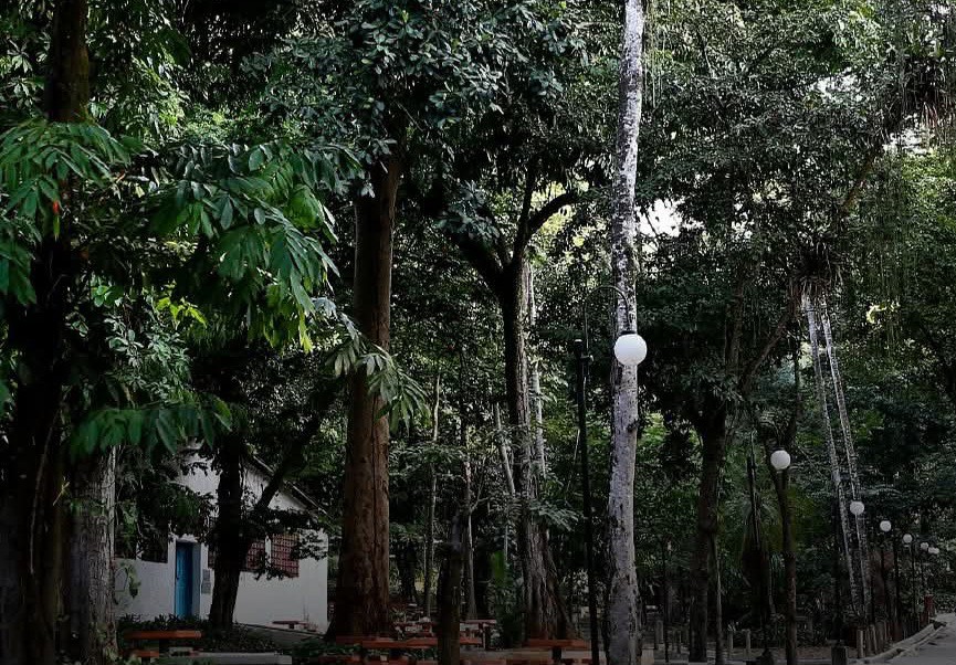 FB_IMG_1751392759416