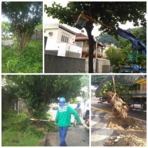 AÇÕES EQUIPES DE ARBORIZAÇÃO URBANA DIA 13/03/2018